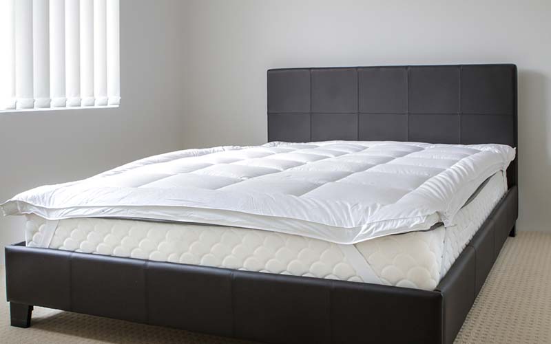 carpet cleaning in new jersey, carpet cleaning new jersey, carpet cleaners in new jersey, carpet cleaners in new jersey, commercial carpet cleaning, commercial carpet cleaning in new jersey, new jersey rug cleaners, rug cleaning services in new jersey, same day carpet cleaning, same day rug cleaning in new jersey, carpet cleaning in nj, carpet cleaning nj, carpet cleaners in nj, carpet cleaners in nj, commercial carpet cleaning, commercial carpet cleaning in nj, nj rug cleaners, rug cleaning services in nj, same day carpet cleaning, same day rug cleaning in nj