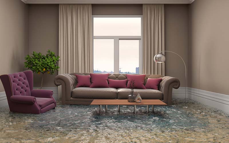 carpet cleaning in new jersey, carpet cleaning new jersey, carpet cleaners in new jersey, carpet cleaners in new jersey, commercial carpet cleaning, commercial carpet cleaning in new jersey, new jersey rug cleaners, rug cleaning services in new jersey, same day carpet cleaning, same day rug cleaning in new jersey, carpet cleaning in nj, carpet cleaning nj, carpet cleaners in nj, carpet cleaners in nj, commercial carpet cleaning, commercial carpet cleaning in nj, nj rug cleaners, rug cleaning services in nj, same day carpet cleaning, same day rug cleaning in nj