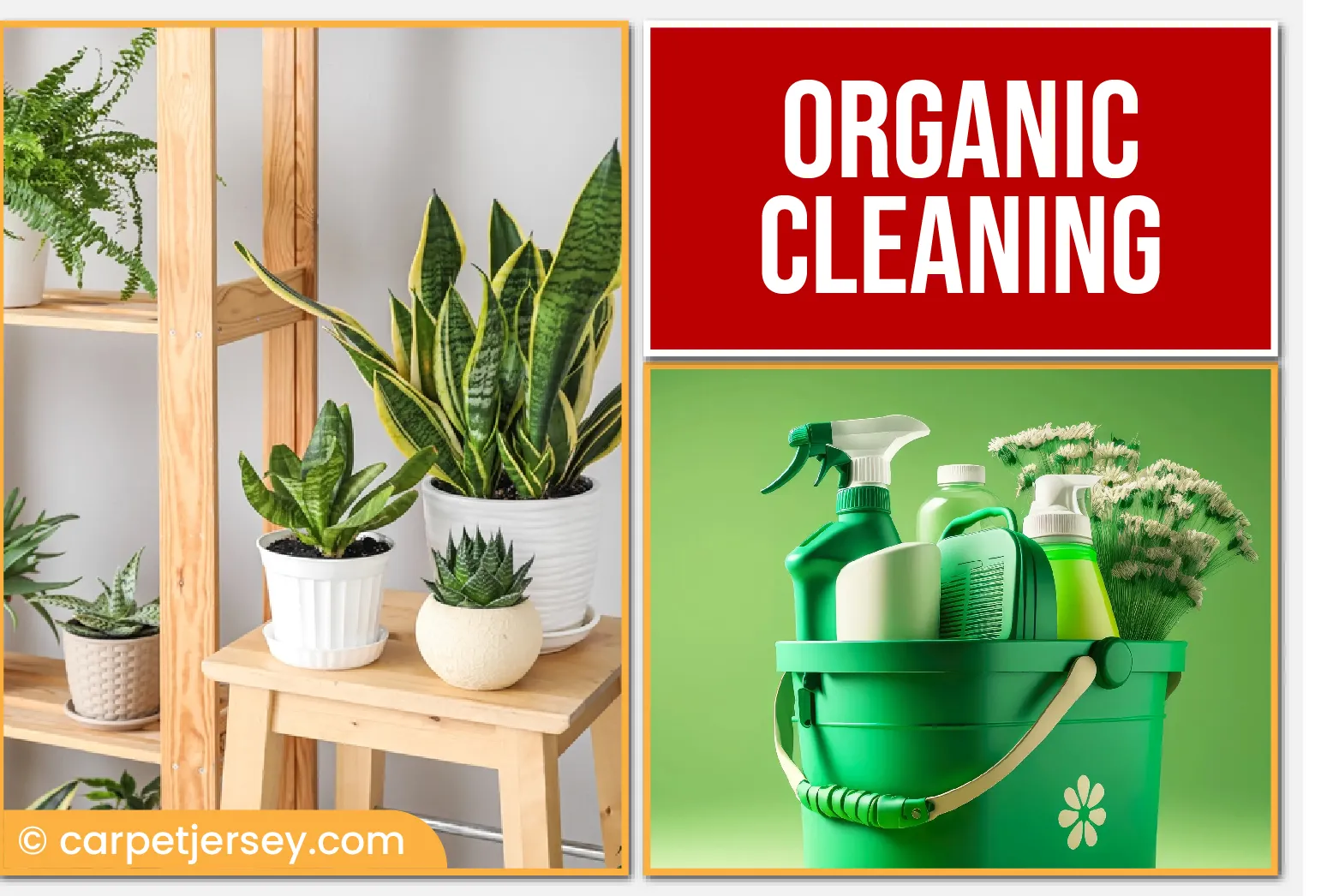 carpet cleaning in new jersey, carpet cleaning new jersey, carpet cleaners in new jersey, carpet cleaners in new jersey, commercial carpet cleaning, commercial carpet cleaning in new jersey, new jersey rug cleaners, rug cleaning services in new jersey, same day carpet cleaning, same day rug cleaning in new jersey, carpet cleaning in nj, carpet cleaning nj, carpet cleaners in nj, carpet cleaners in nj, commercial carpet cleaning, commercial carpet cleaning in nj, nj rug cleaners, rug cleaning services in nj, same day carpet cleaning, same day rug cleaning in nj